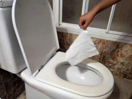 es inutil China Lujoso Desatascar WC toallitas ✌️ [Consejos MUY ÚTILES]